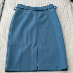 Ann Taylor Pencil Skirt